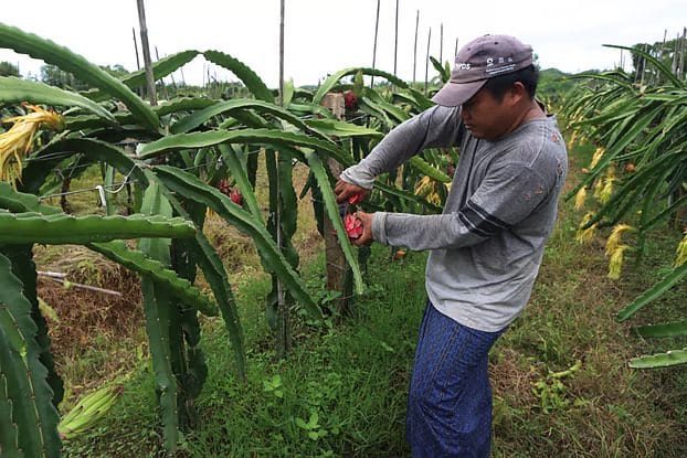 আলোচনায় এসেছে রাজনীতি, অর্থনীতি থেকে শুরু করে পারিবারিক গল্পও।1