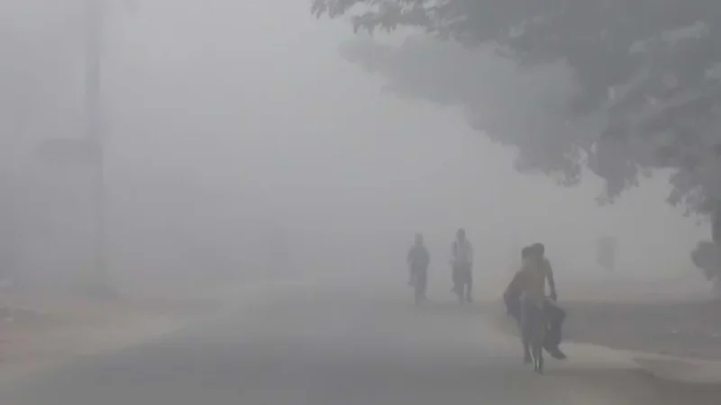 ৮.৫ ডিগ্রিতে নেমেছে তাপমাত্রা, কুয়াশায় ঢাকা কুড়িগ্রামের জনজীবন বিপর্যস্ত